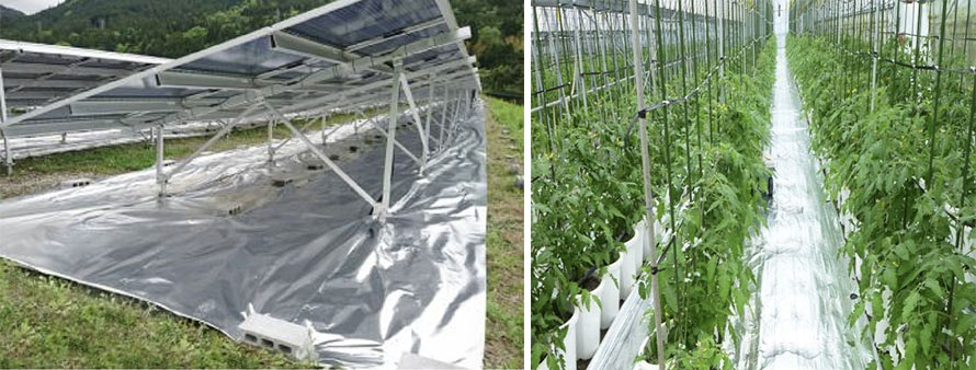 aluminum reflective anti-gross cloth 