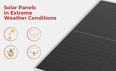 雨滴から光線まで: ソーラーパネルが刻々と変化する天候にどのように適応するかを発見する